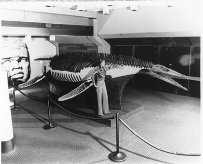 Dallas Airport History - Dallas Airport DFW Guide bones